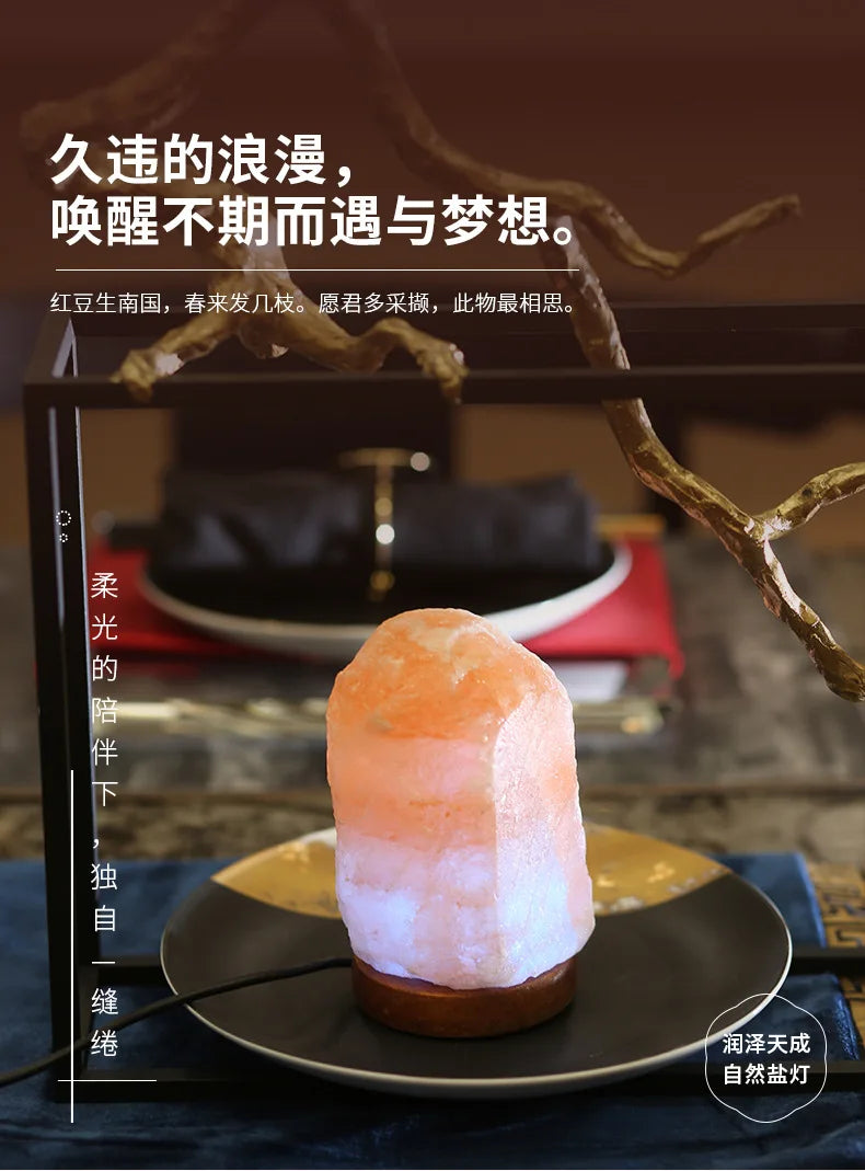 LED Himalayan Salt Night Lamp USB