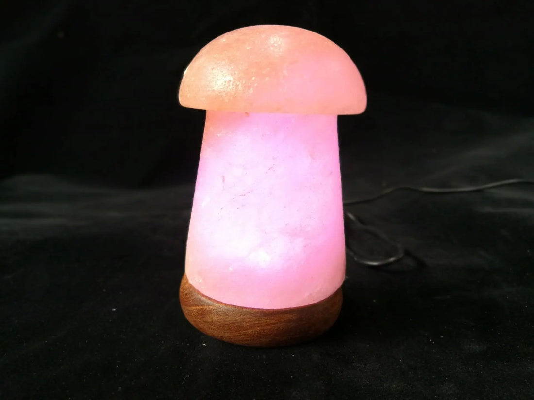 LED Himalayan Salt Night Lamp USB