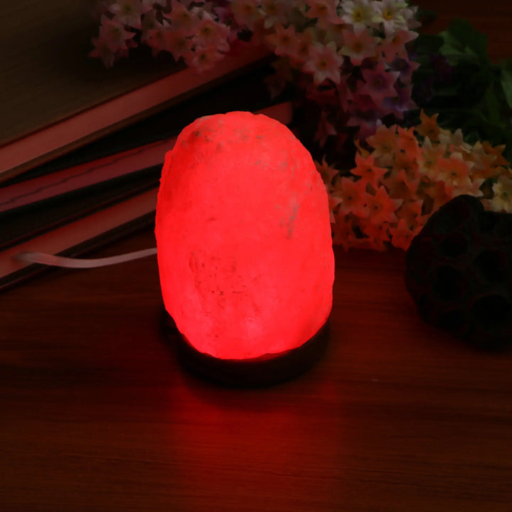 LED Himalayan Salt Night Lamp USB