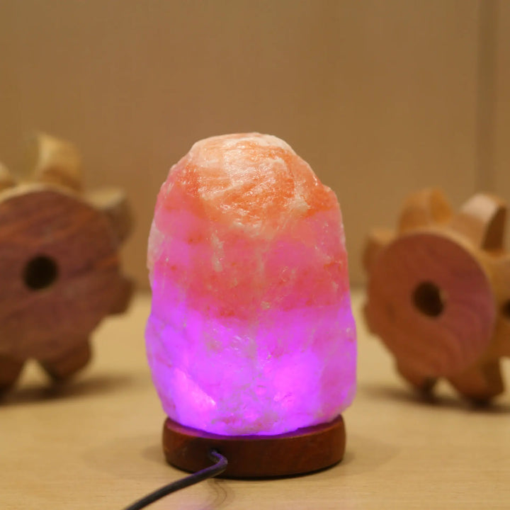 LED Himalayan Salt Night Lamp USB