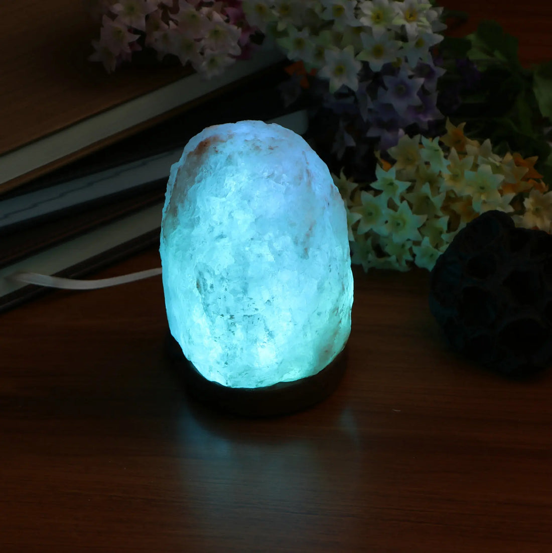LED Himalayan Salt Night Lamp USB