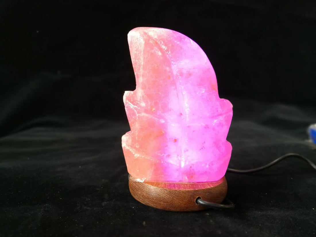 LED Himalayan Salt Night Lamp USB